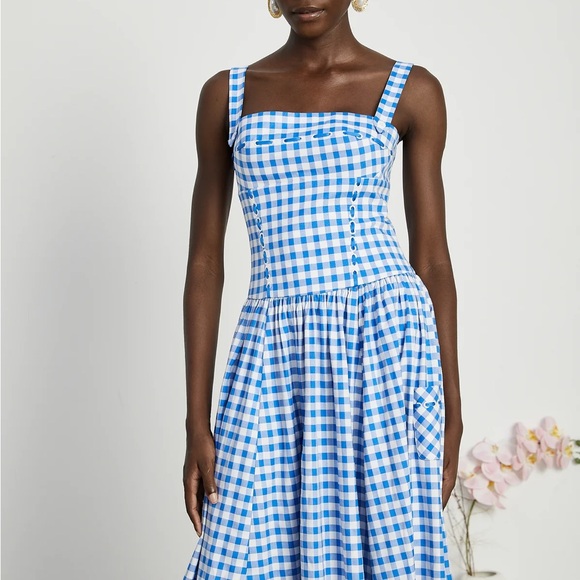 Blue Gingham Midi Dress - Picture 4 of 13